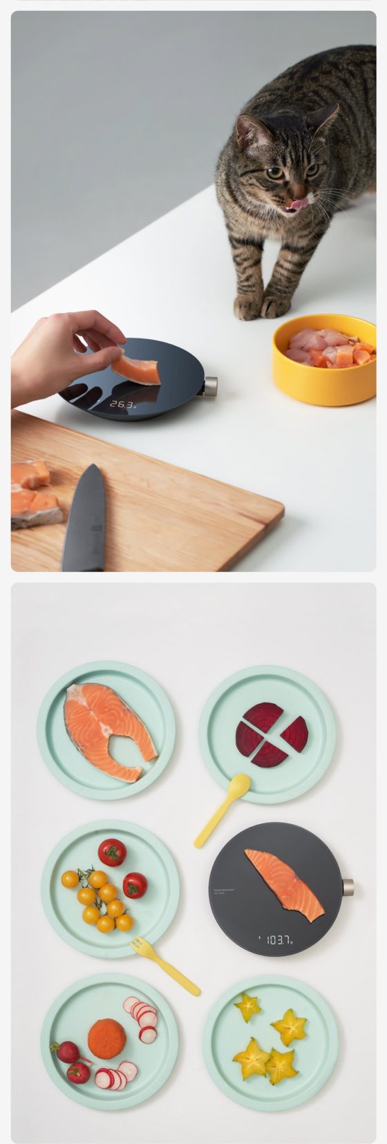 HOTO Digital Scale | GADGET 45 - Image 12